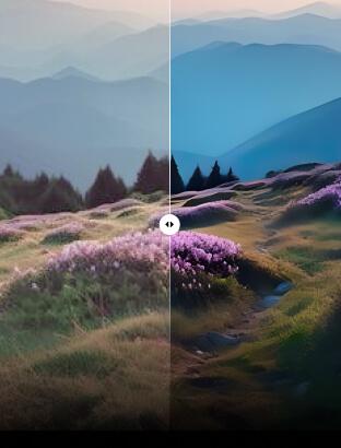 ai color enhancer